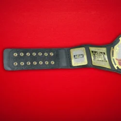 AEW TNT Championship Replica Title Belt