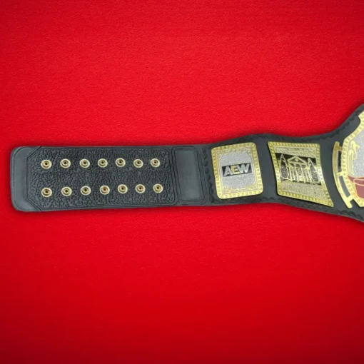 AEW TNT Championship Replica Title Belt