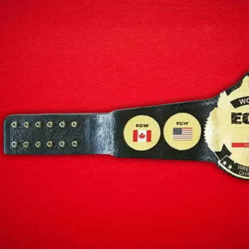 ECW Television Champion Championship Replica Title Belt