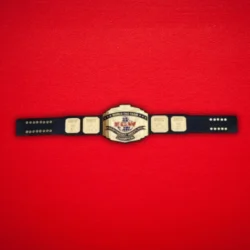 ECW World Tag Team Championship Replica Title Belt