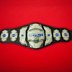 Impact Knockout Version Wrestling Championship Title Belt