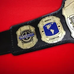 Impact World Championship Heavyweight Wrestling Title Belt