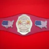 NWA Continental USA Wrestling Champion Belt