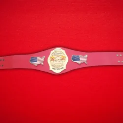 NWA Continental USA Wrestling Champion Belt