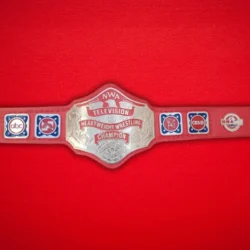 NWA TELEVISION Heavyweight Wrestling Championship Belt