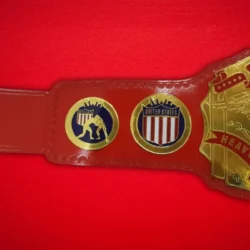 NWA United States Heavyweight Championship Title Belt