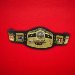 NWA World Heavyweight Wrestling Championship Belt