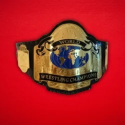 NWA world tag team championship Replica Title Belt