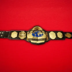 NWA world tag team championship Replica Title Belt