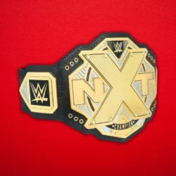 NXT Championship Replica Title Belt