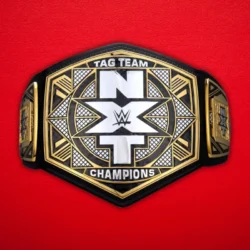 NXT Tag Team Championship Replica Title Belt