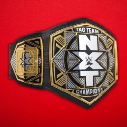 NXT Tag Team Championship Replica Title Belt