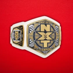 NXT Women's Tag Team Championship Title Belt