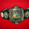 New AEW World Heavyweight Championship Title Belt