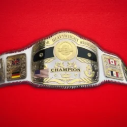 Nwa Junior Heavyweight Championship Belt