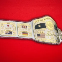 Nwa Junior Heavyweight Championship Belt