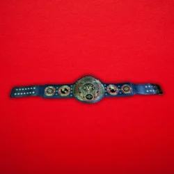 ROH Heavyweight Championship Title Belt