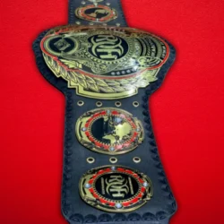 ROH Heavyweight Championship Title Belt