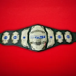 TNA Impact Knockouts Championship Replica Title Belt