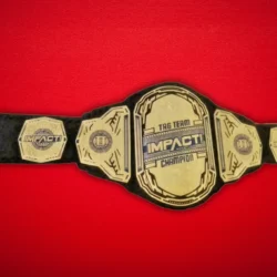 TNA Impact Wrestling World Championship Title Belt