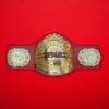 TNA Legends Championship Title Belt