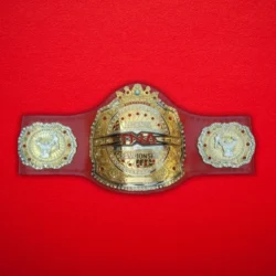 TNA Legends Championship Title Belt