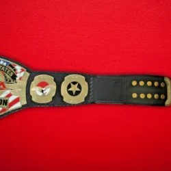 TNA United State Wrestling Championship Title Belt