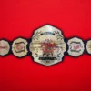 TNA WORLD Championship Wrestling Belt