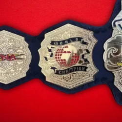 TNA WORLD Championship Wrestling Belt