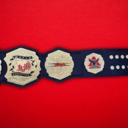 TNA WORLD Championship Wrestling Belt