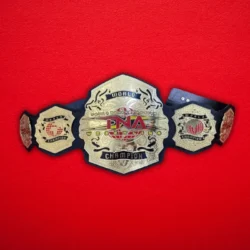 TNA WORLD Championship Wrestling Belt