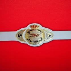 TNA Women's Championship Title Belt