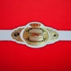 TNA Women's Championship Title Belt