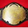 TNA World Heavyweight Wrestling Championship Belt