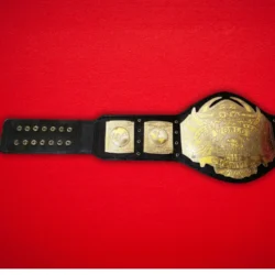 TNA World Heavyweight Wrestling Championship Belt