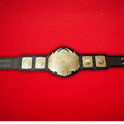 TNA World Heavyweight Wrestling Championship Belt