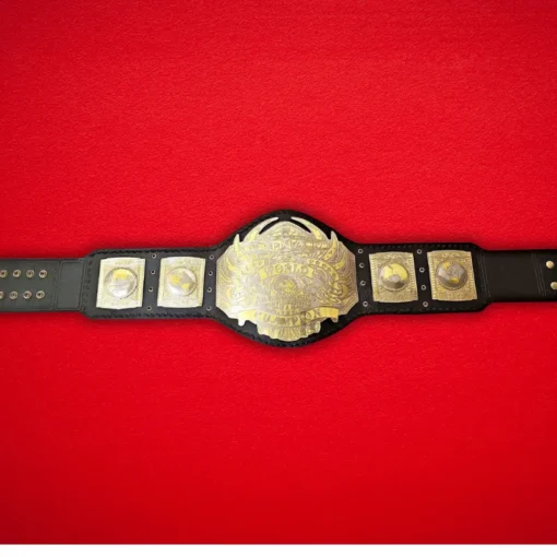 TNA World Heavyweight Wrestling Championship Belt