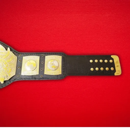 TNA World Heavyweight Wrestling Championship Belt