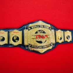 TNA World Tag Team Championship Title Belt