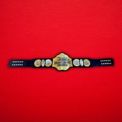 TNA Wrestling Heavyweight Championship Title Belt