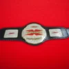 TNA X Division Championship Title Belt