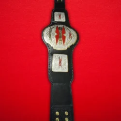 TNA X Division Championship Title Belt