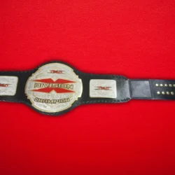 TNA X Division Championship Title Belt