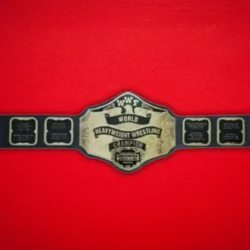 WWF Hulk Hogan Wrestling Heavyweight Championship Title Belt