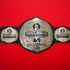 UFC Bellator Kickboxing World Championship Belt