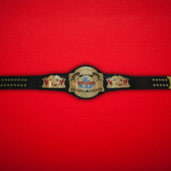 WCW Cruiserweight Wrestling Championship Title Belt