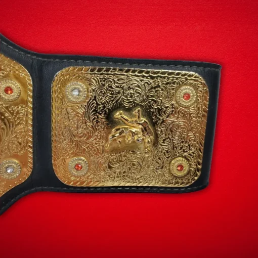 WCW International Championship Title Belt