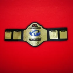 WCW World Tag Team Championship Replica Title Belt