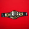 WWE NXT North American Championship Title Belt