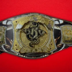 WWE NXT Randy Orton Spinner Championship Title Belt